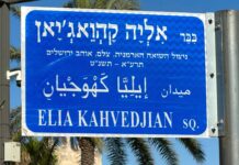 Իսրայելահայ ակտիվիստը հույս է տեսնում տարիների անվստահությունից հետո։