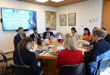 ՀՀ ԱԳ նախարարի տեղակալի հանդիպումը Իսրայելի ԱԳ նախարարության գլխավոր տնօրենի հետ