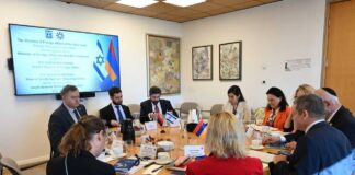 ՀՀ ԱԳ նախարարի տեղակալի հանդիպումը Իսրայելի ԱԳ նախարարության գլխավոր տնօրենի հետ